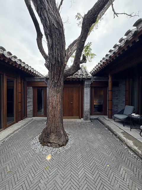 当迷人的前门文华东方遇上同样醉人的秋