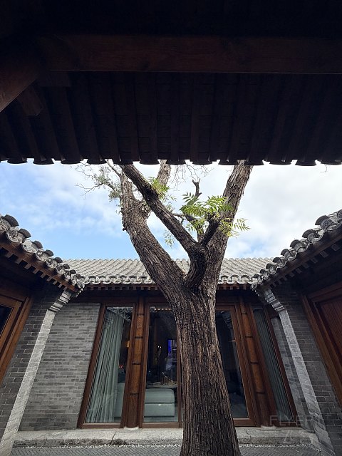 当迷人的前门文华东方遇上同样醉人的秋