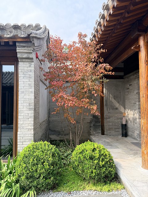当迷人的前门文华东方遇上同样醉人的秋
