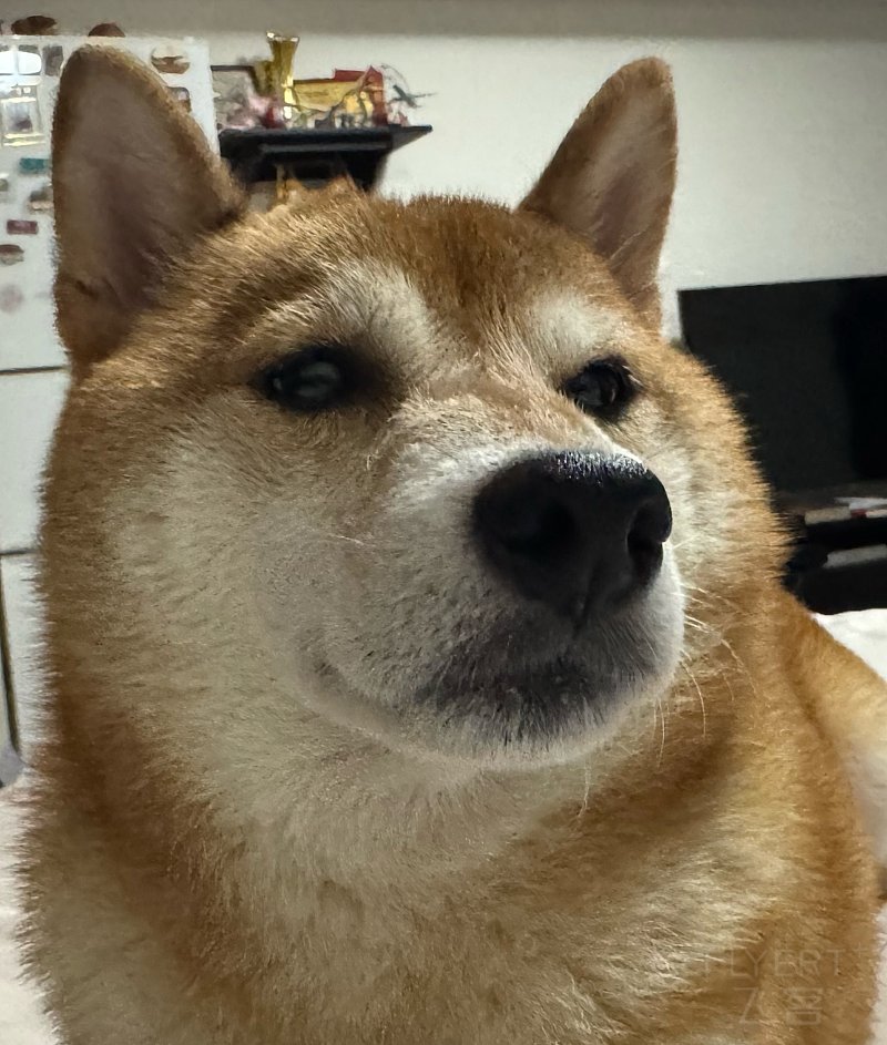180557GYNHZVNBFTLFPLZE.png