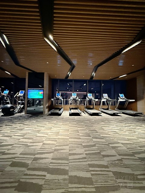 希尔顿入住体验｜济南鲁能希尔顿酒店及公寓