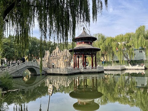 #看图说话# 中卫希尔顿花园 #论坛首发#