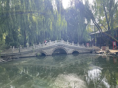 #看图说话# 中卫希尔顿花园 #论坛首发#