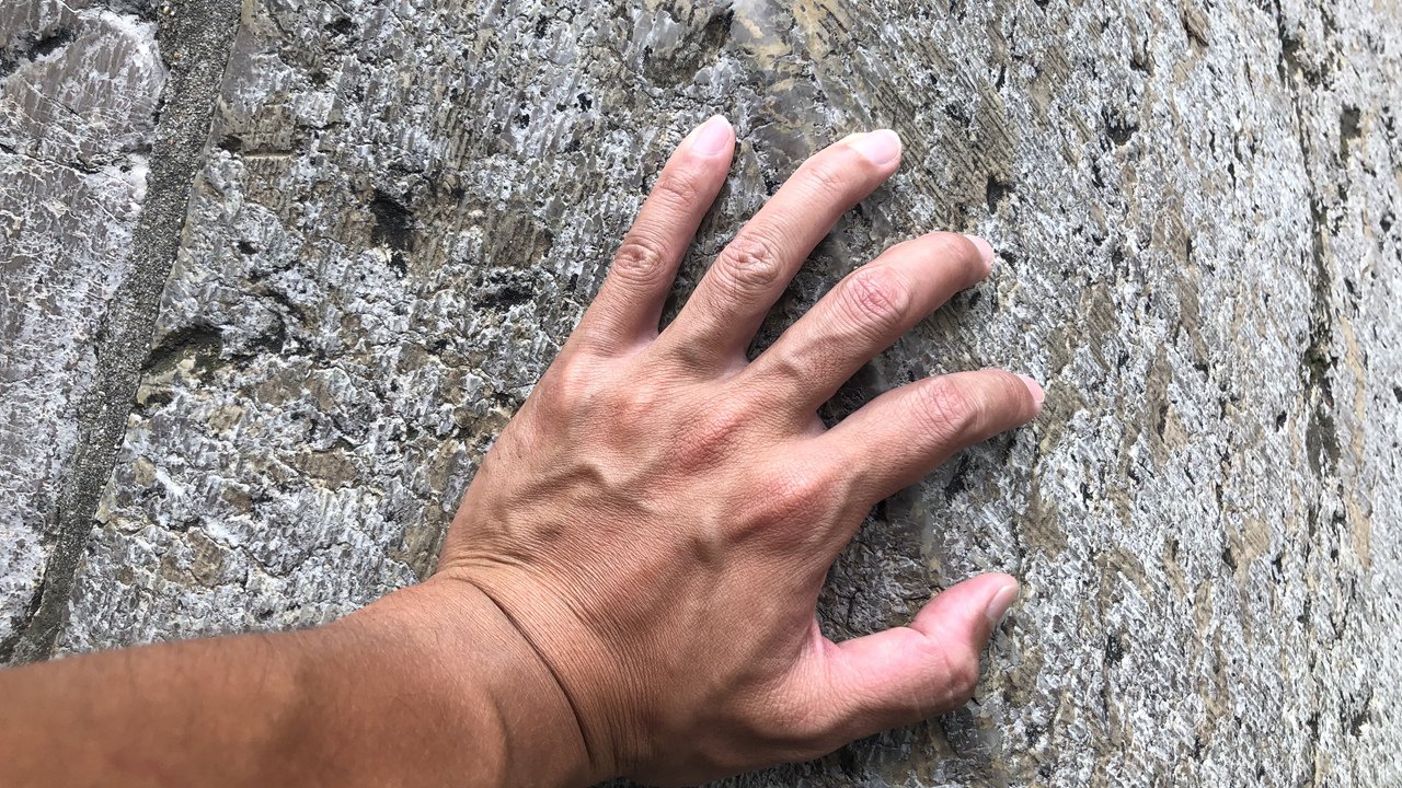 ɽɽϹjierʱĵЩϲµƬ