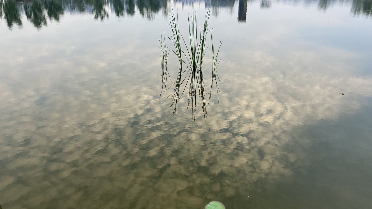 ɽɽϹjierʱĵЩϲµƬ
