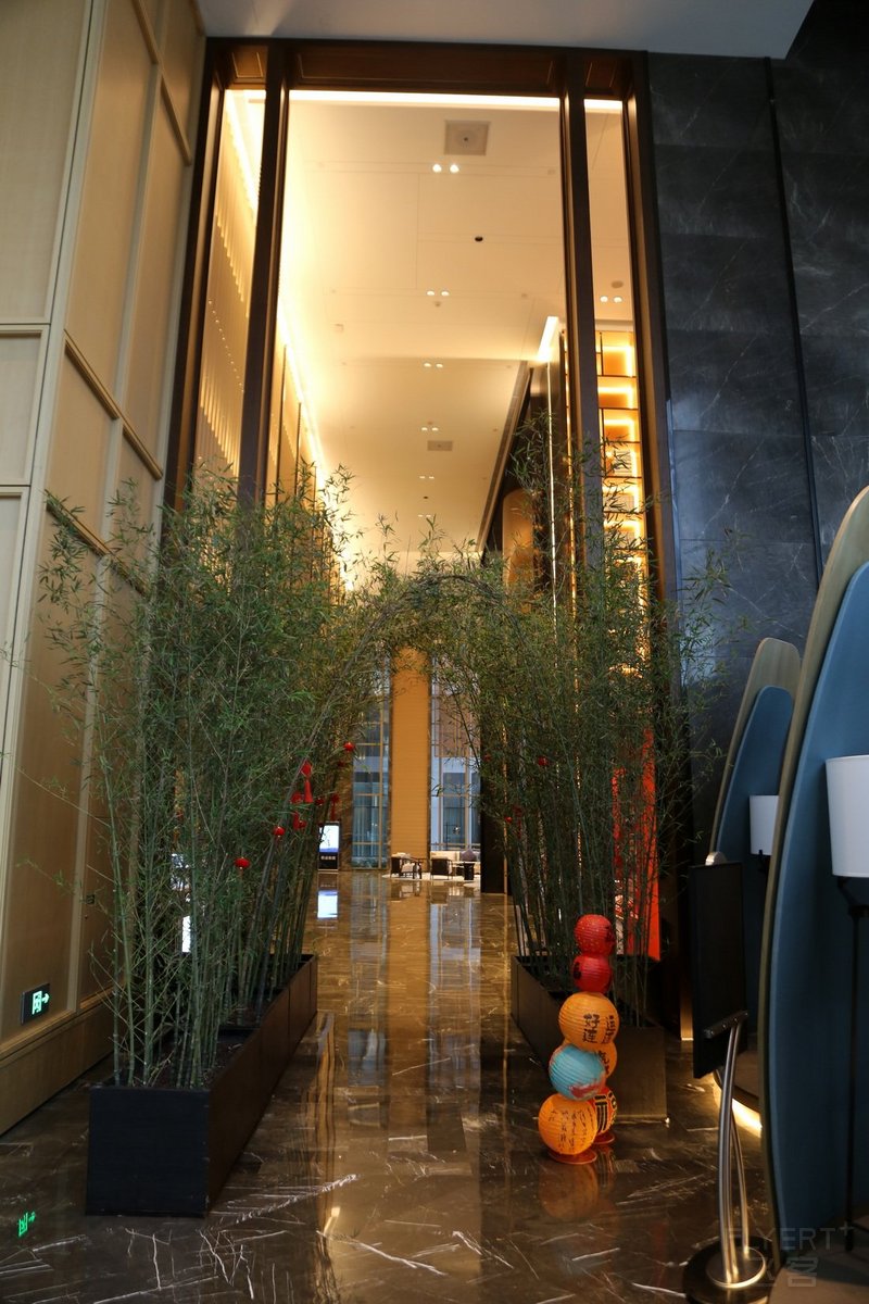 宜宾--Hualuxe Yibin Hotel Lobby Bar (2).JPG