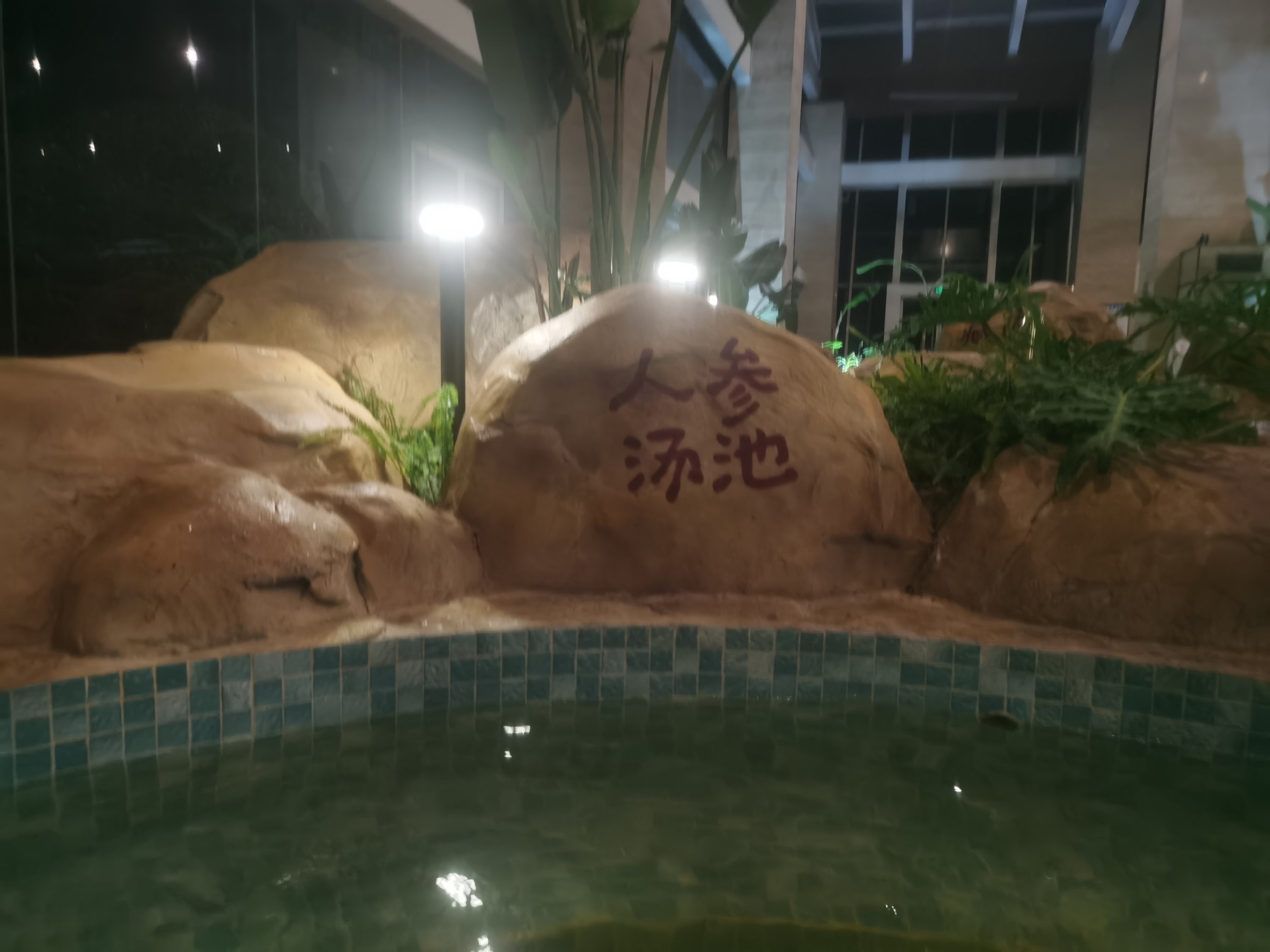 䡪ɶ̲ڴӢϸƵ
