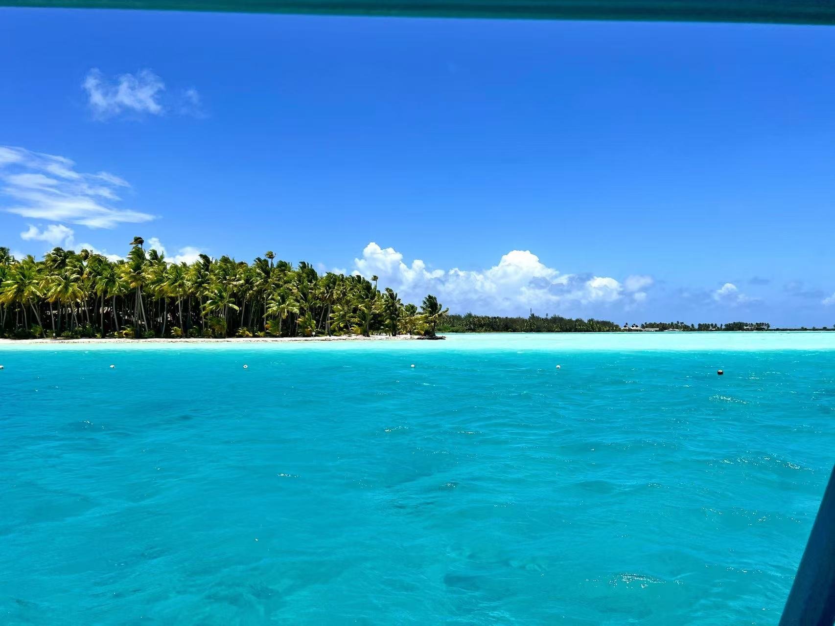 컨е컨 bora bora𼪾Ƶ˫Աס鱨