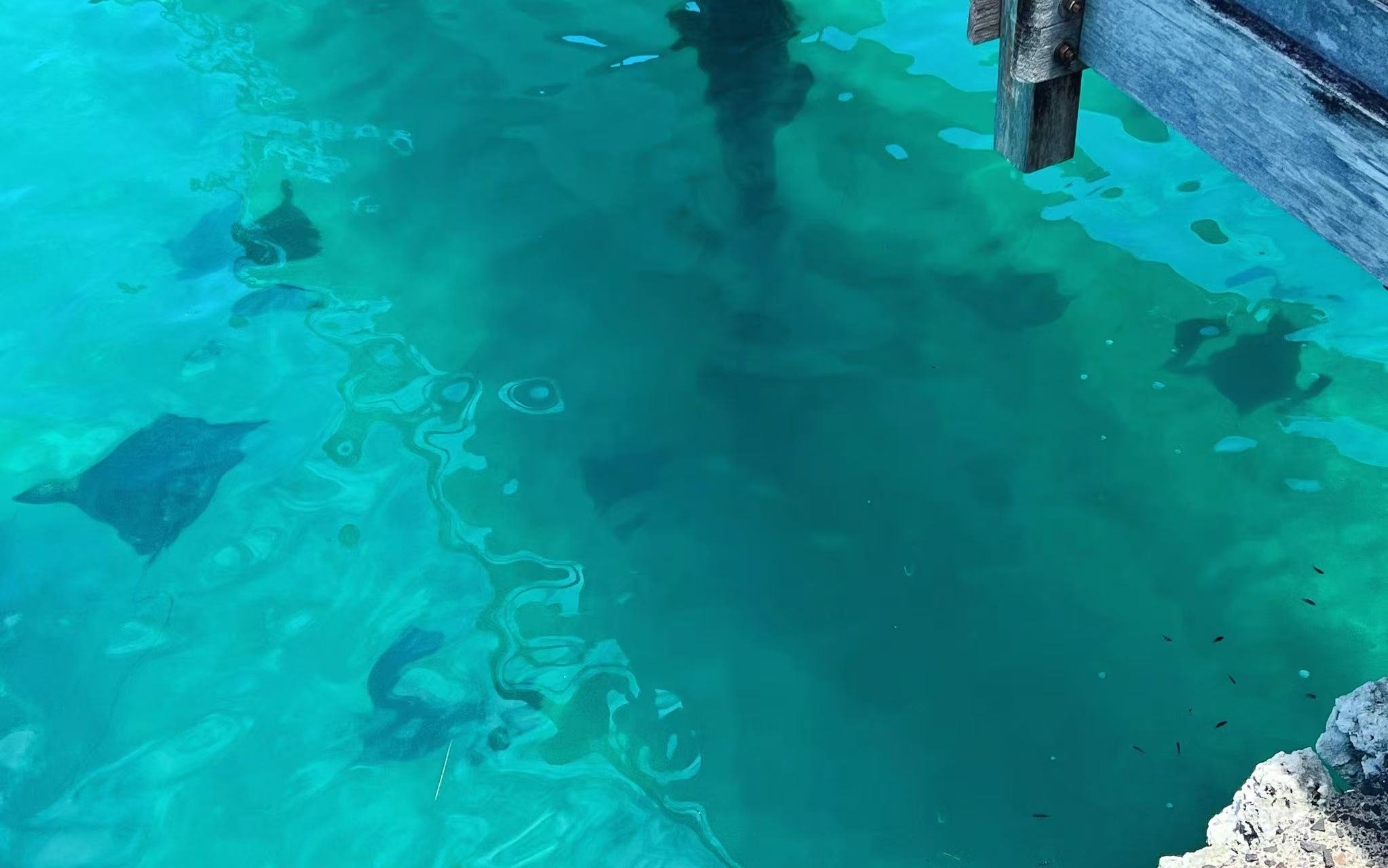 컨е컨 bora bora𼪾Ƶ˫Աס鱨