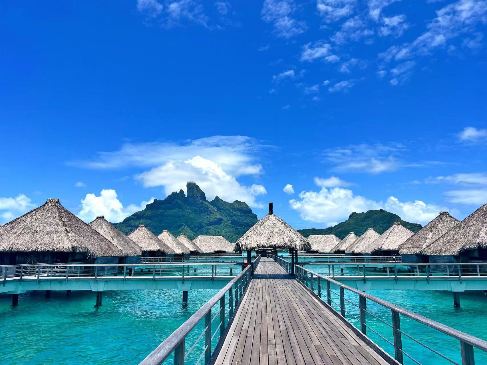 컨е컨 bora bora𼪾Ƶ˫Աס鱨