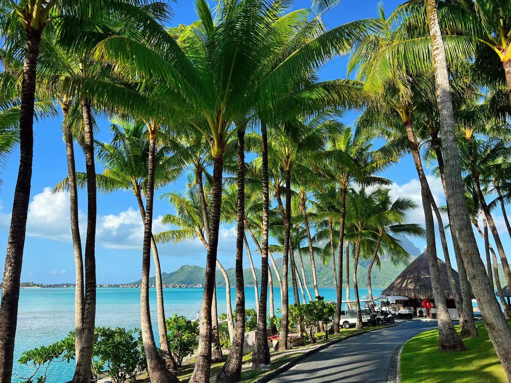 컨е컨 bora bora𼪾Ƶ˫Աס鱨