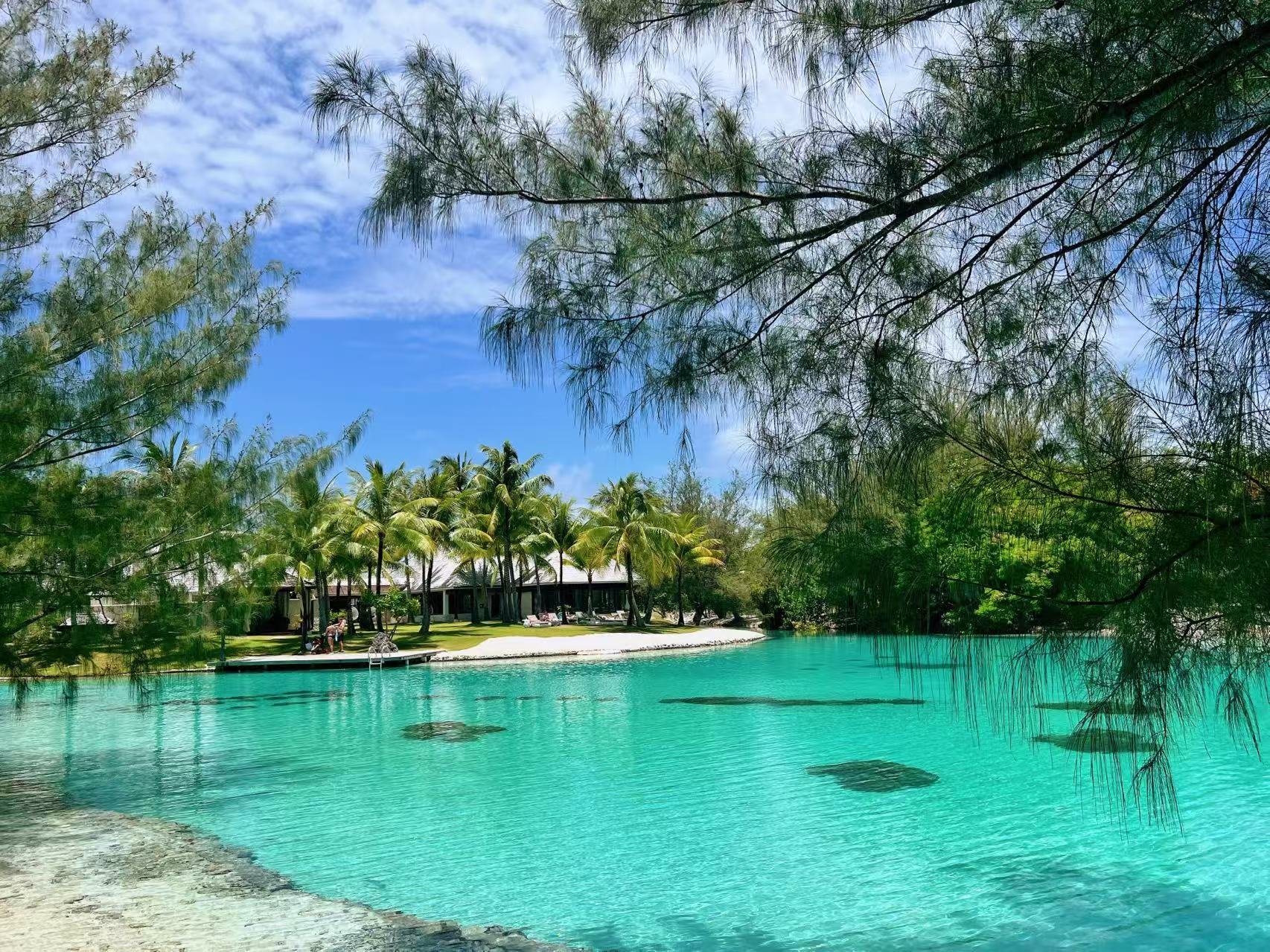 컨е컨 bora bora𼪾Ƶ˫Աס鱨