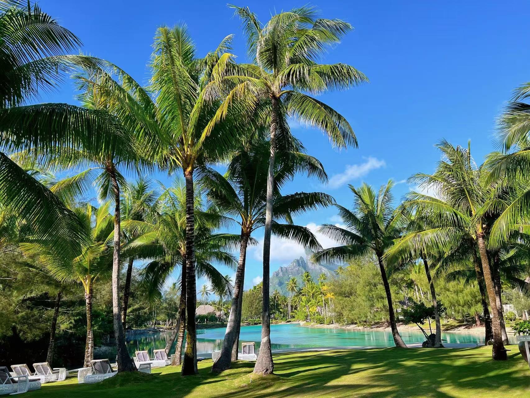 컨е컨 bora bora𼪾Ƶ˫Աס鱨
