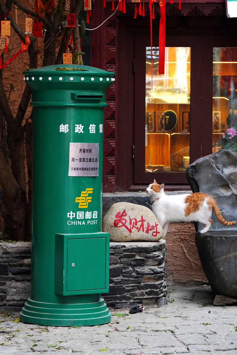 DSC07359_鍓湰.jpg DSC07359_鍓湰.jpg