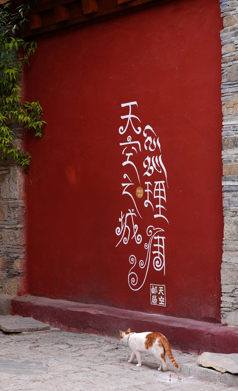 DSC07352_鍓湰.jpg DSC07352_鍓湰.jpg