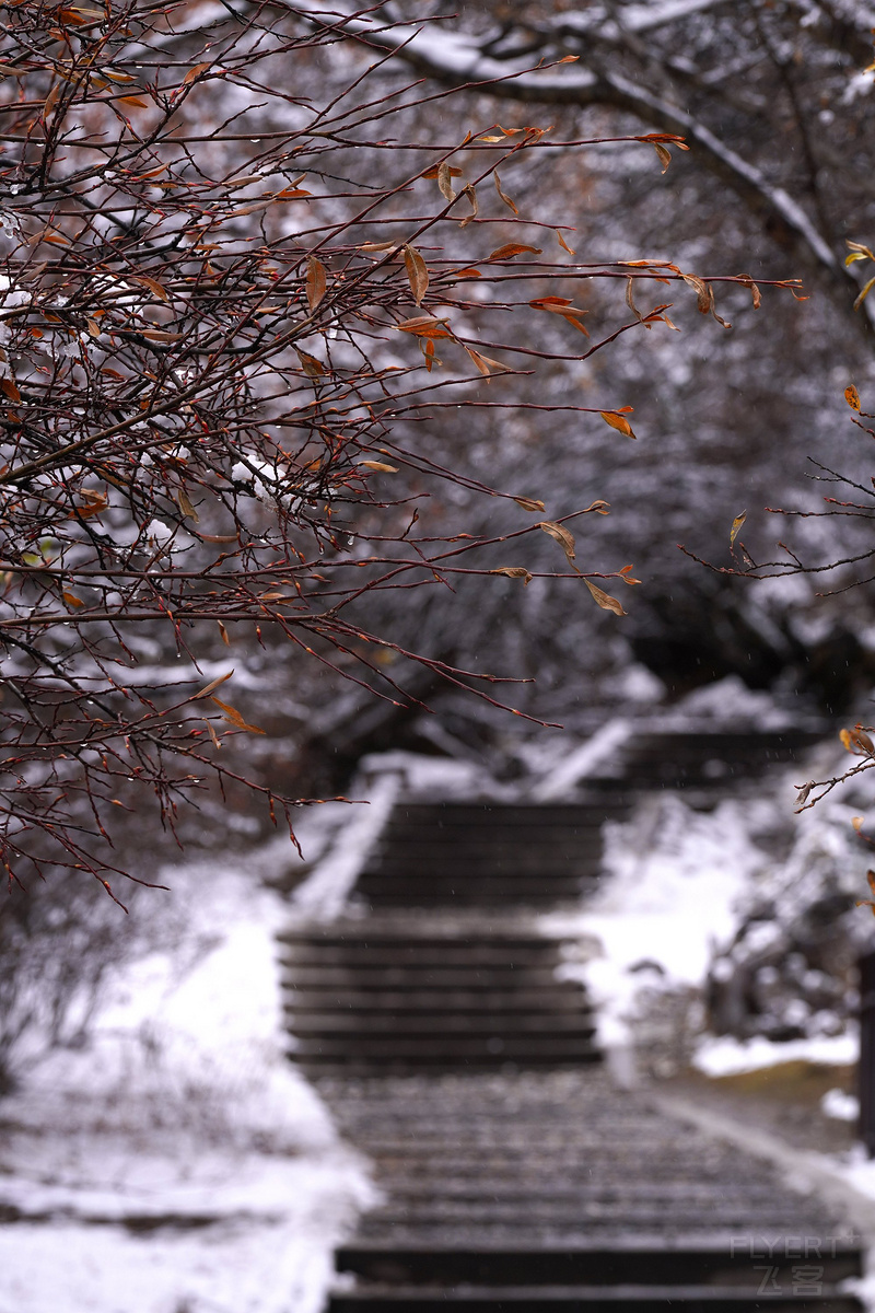DSC08003_鍓湰.jpg DSC08003_鍓湰.jpg
