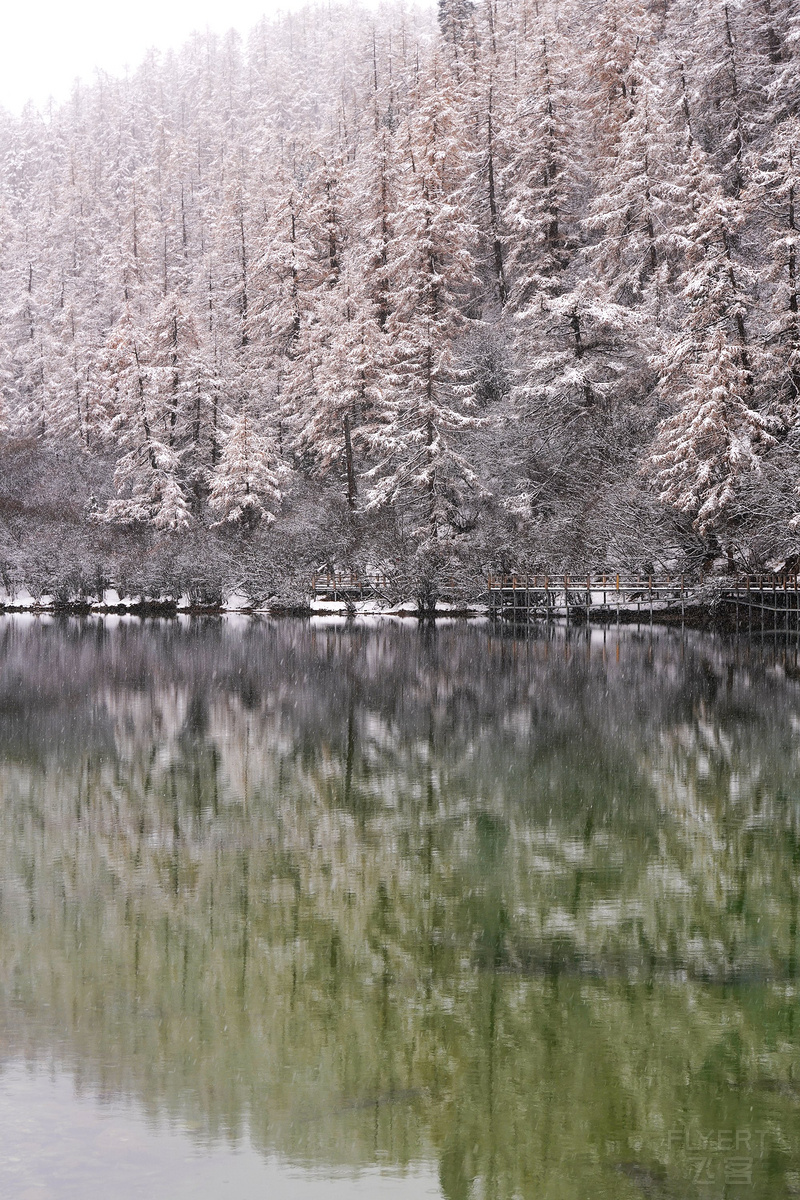 DSC08196_鍓湰.jpg DSC08196_鍓湰.jpg