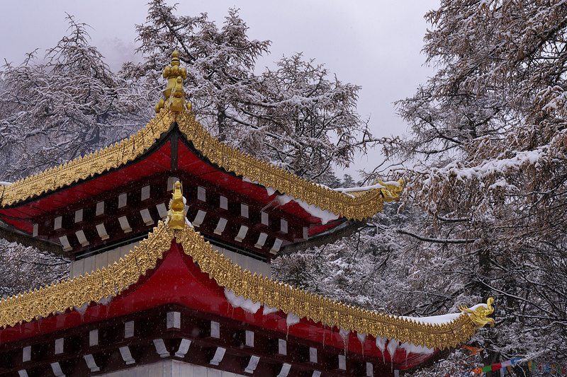 DSC08138_鍓湰.jpg DSC08138_鍓湰.jpg