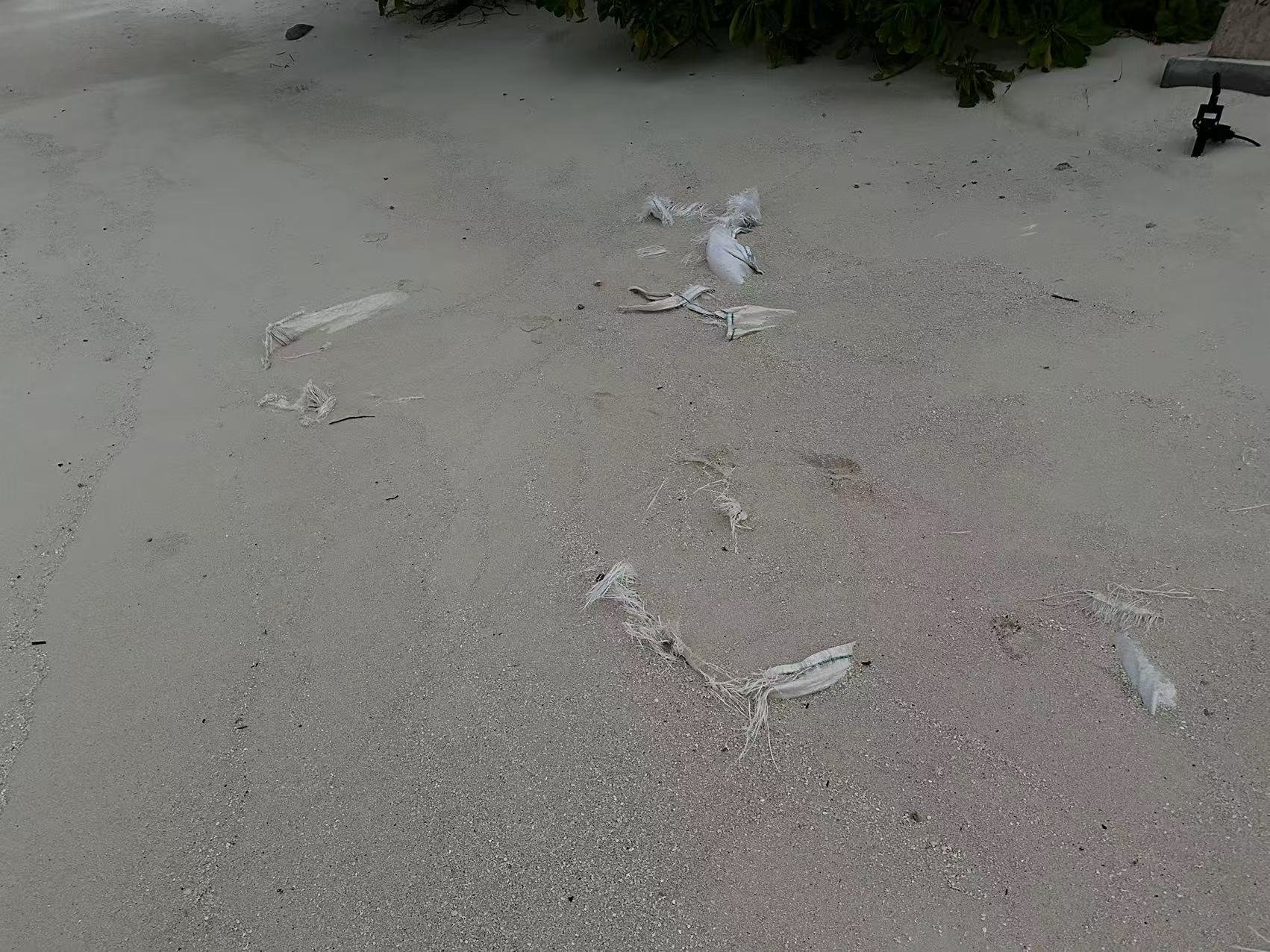 򿨷JW JW Marriott Kaafu Atoll