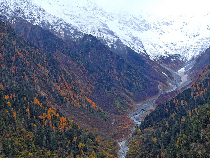 DJI_20241123145713_0345_D_鍓湰.jpg DJI_20241123145713_0345_D_鍓湰.jpg