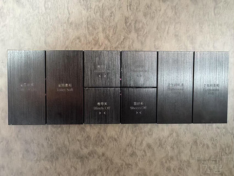 乘核舟探访桃花源之上海海鸥丽晶REGENT【多图】
