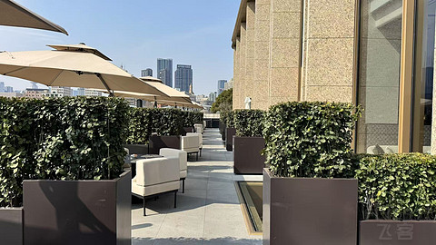 乘核舟探访桃花源之上海海鸥丽晶REGENT【多图】