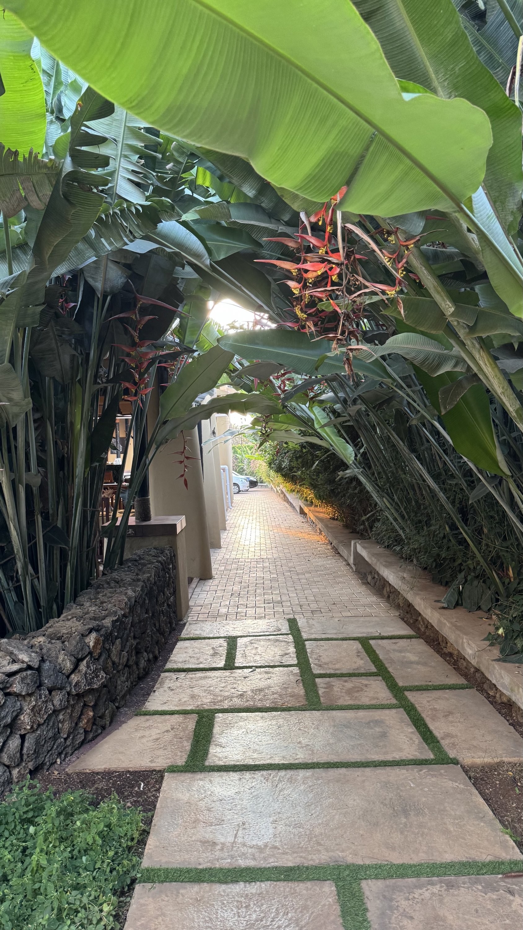 мǡɽµMaridadi Hotel