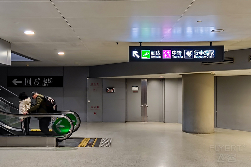 391.jpg 391.jpg