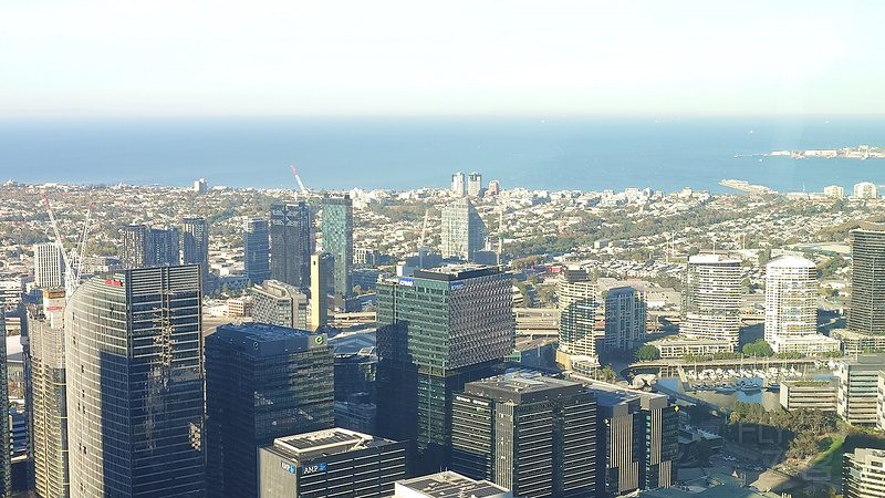 20250503_084633.JPG