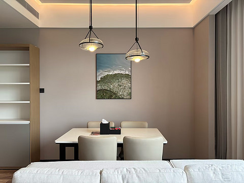 重庆茶园盛捷公寓·Somerset/馨乐庭连心酒店·Citadines Connect入住简报