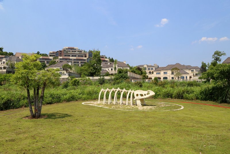 桐庐--Conrad Hangzhou Tonglu Resort Outdoor Garden (44).JPG