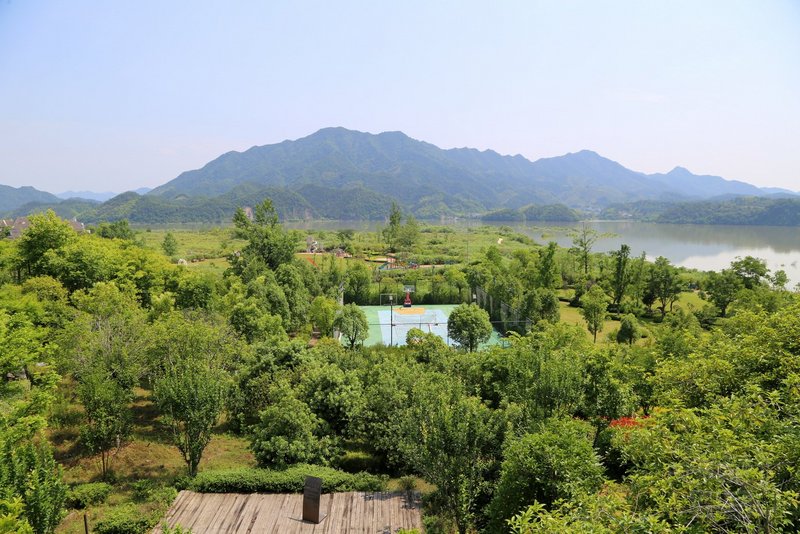 桐庐--Conrad Hangzhou Tonglu Resort Outdoor Garden (46).JPG