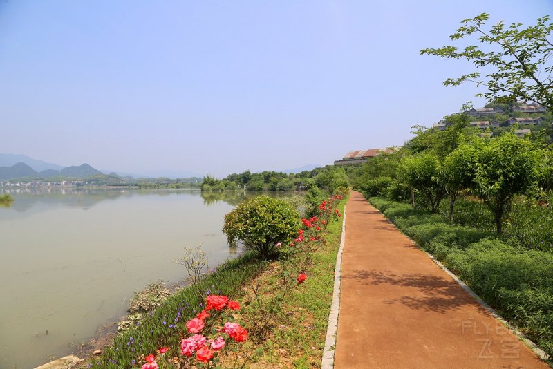 桐庐--Conrad Hangzhou Tonglu Resort Outdoor Garden (18).JPG