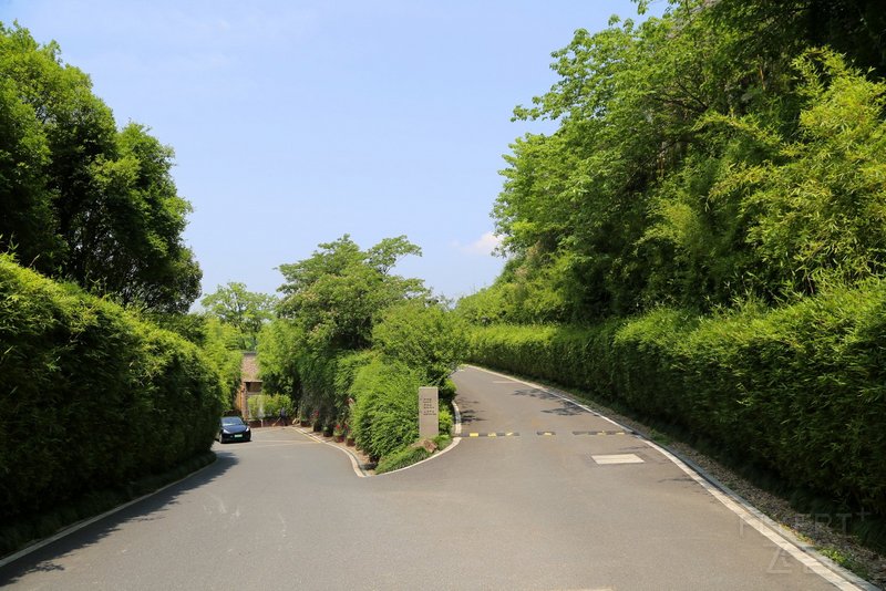 桐庐--Conrad Hangzhou Tonglu Resort Outdoor Garden (3).JPG