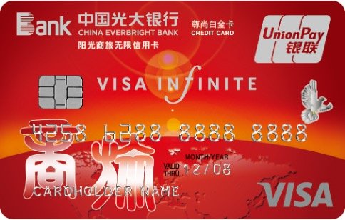 °VISA˫оƬ