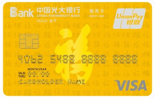°VISA˫оƬ