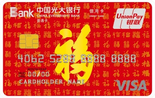°VISA˫оƬ