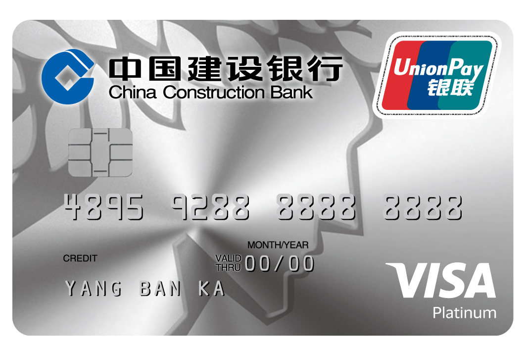 °VISA˫оƬ