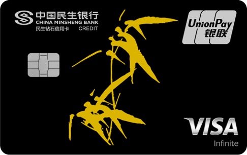 °VISA˫оƬ