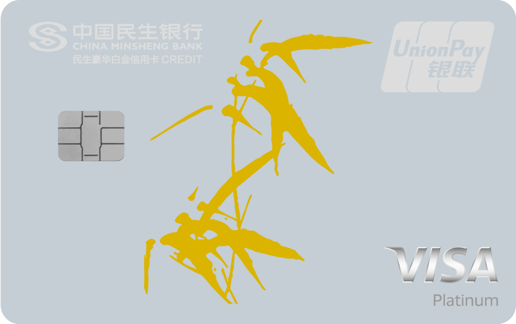 °VISA˫оƬ
