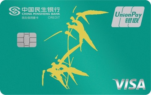 °VISA˫оƬ