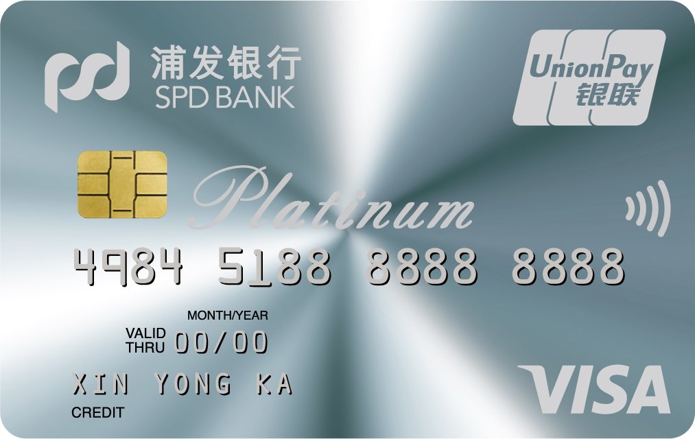 °VISA˫оƬ