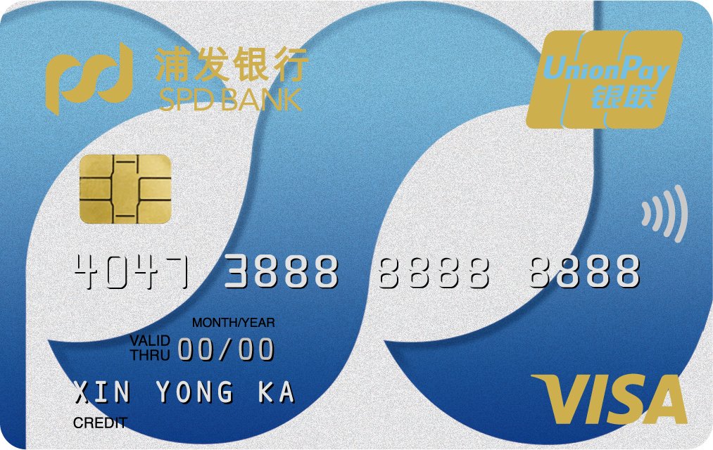 °VISA˫оƬ