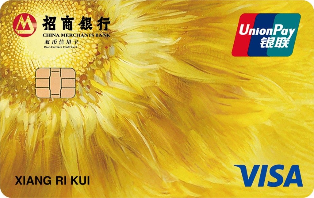 °VISA˫оƬ
