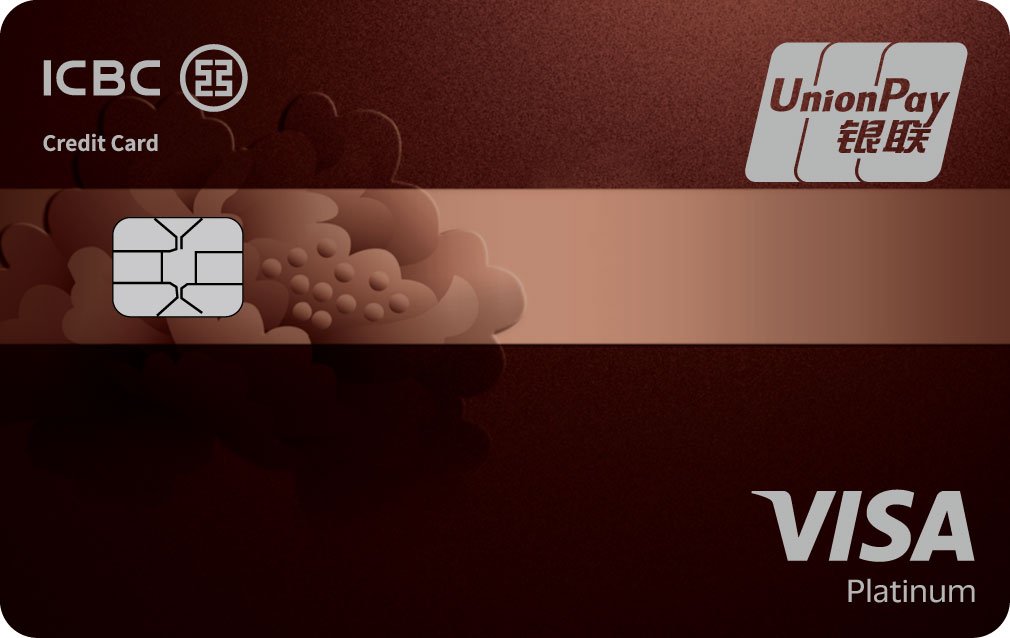 °VISA˫оƬ