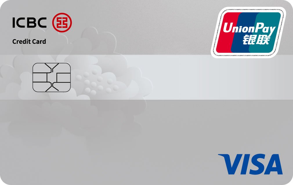 °VISA˫оƬ