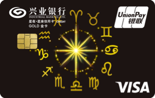 °VISA˫оƬ