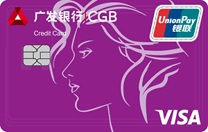 °VISA˫оƬ