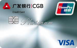 °VISA˫оƬ