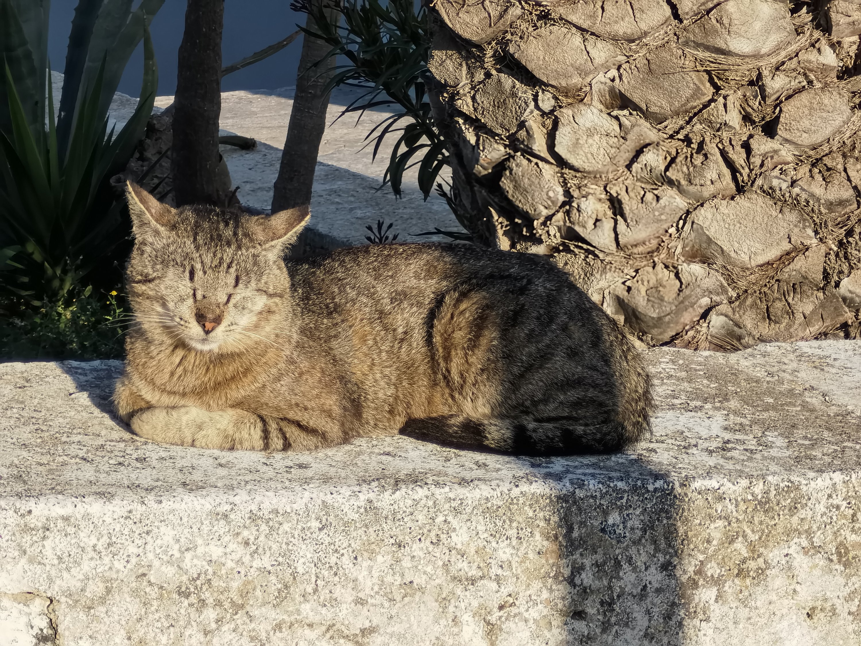 ̸ޣ΢ã-ϣʥSantorini Canaves Oia Suites׷